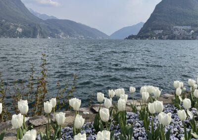 Lugano